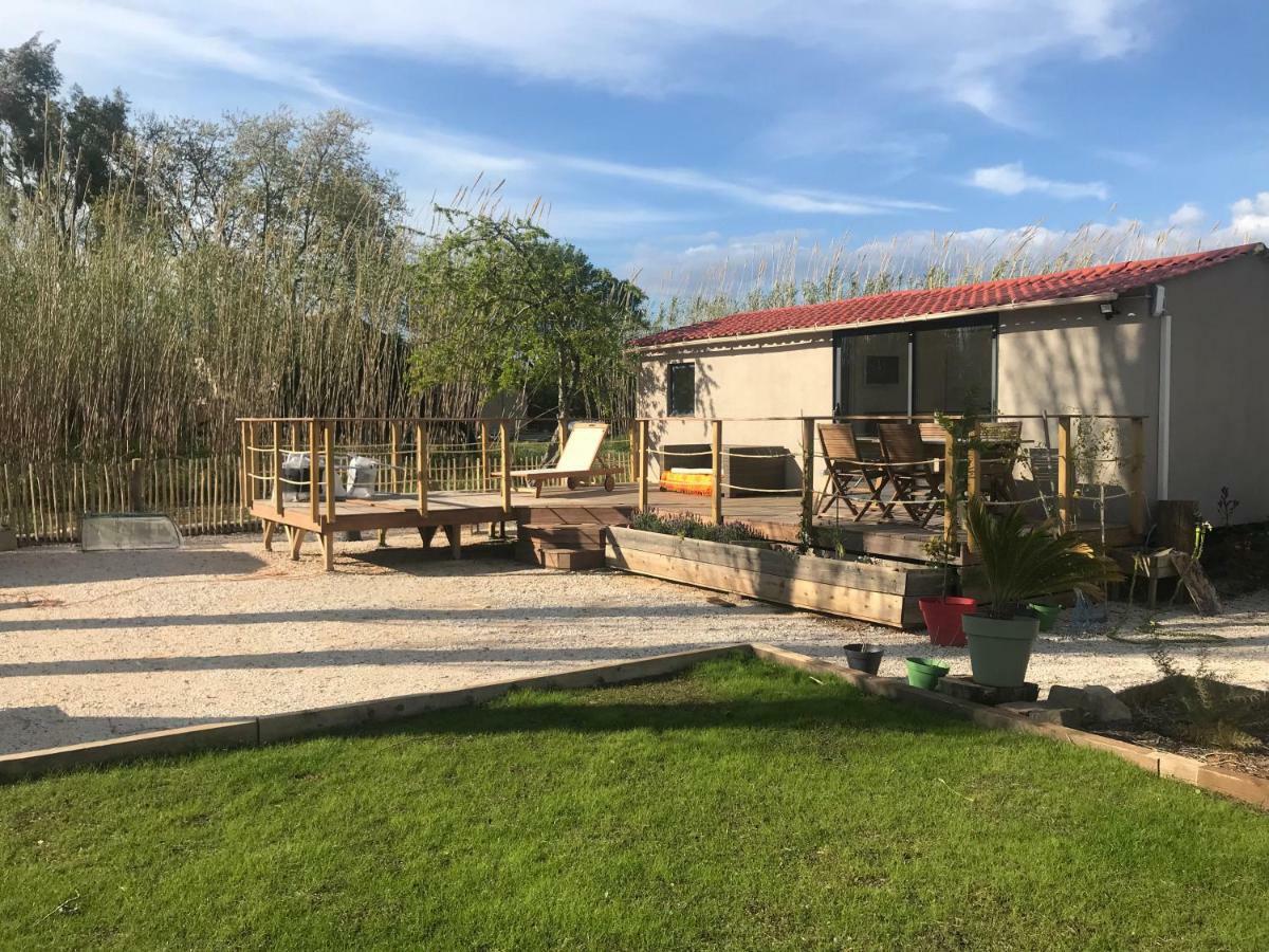 Villa Tiny House Sur La Cote D'Azur Hyères Exterior foto